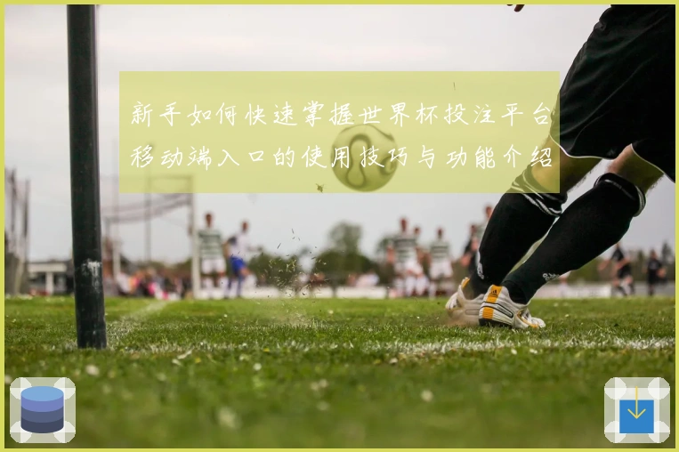 新手如何快速掌握世界杯投注平台移动端入口的使用技巧与功能介绍