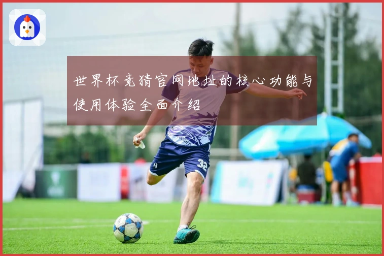 世界杯竞猜官网地址的核心功能与使用体验全面介绍