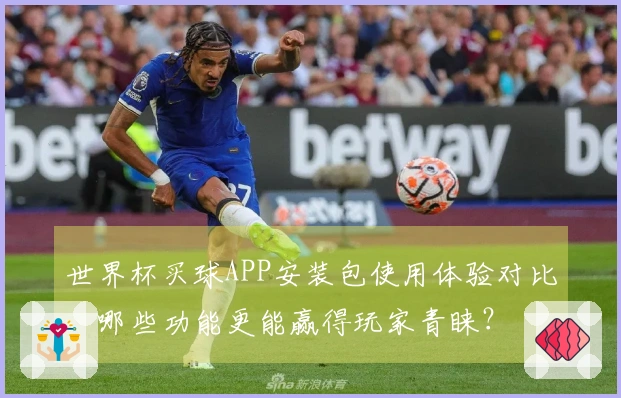世界杯买球APP安装包使用体验对比，哪些功能更能赢得玩家青睐？