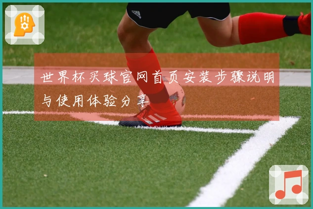 世界杯买球官网首页安装步骤说明与使用体验分享