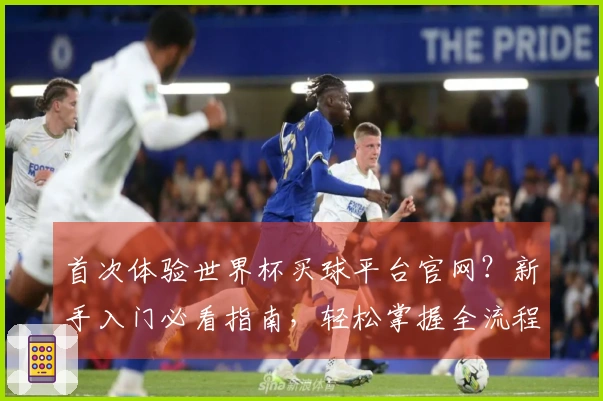 首次体验世界杯买球平台官网？新手入门必看指南，轻松掌握全流程操作