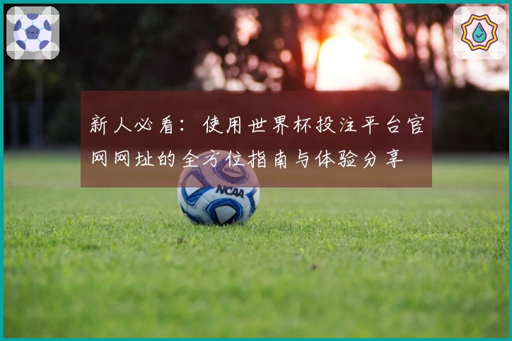 新人必看：使用世界杯投注平台官网网址的全方位指南与体验分享