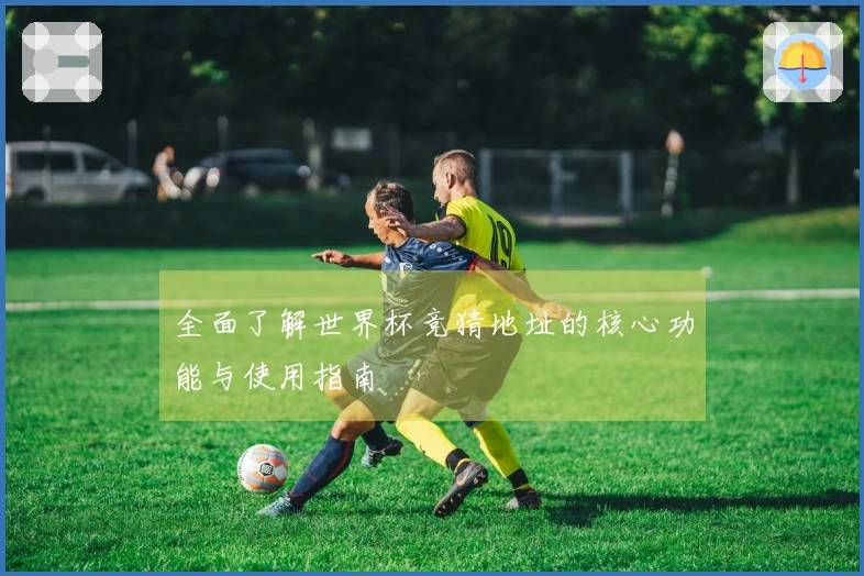全面了解世界杯竞猜地址的核心功能与使用指南