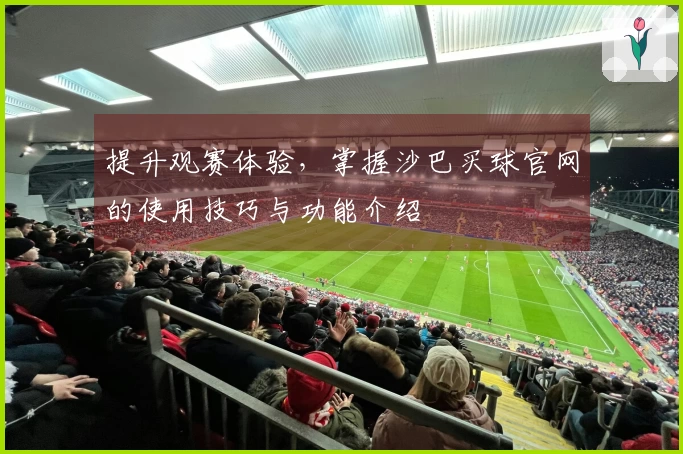 提升观赛体验，掌握沙巴买球官网的使用技巧与功能介绍