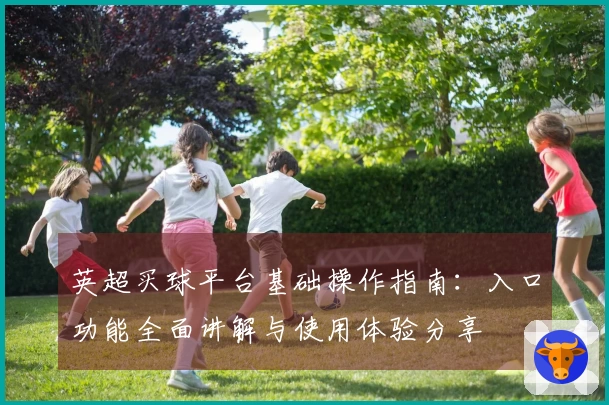 英超买球平台基础操作指南：入口功能全面讲解与使用体验分享