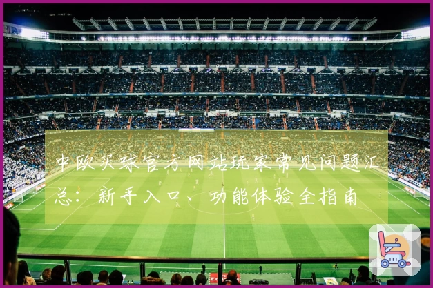 中欧买球官方网站玩家常见问题汇总：新手入口、功能体验全指南