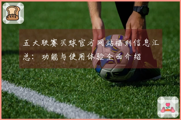 五大联赛买球官方网站福利信息汇总：功能与使用体验全面介绍