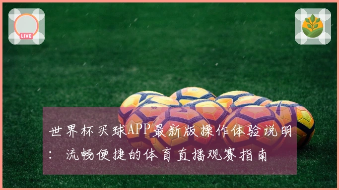 世界杯买球APP最新版操作体验说明：流畅便捷的体育直播观赛指南