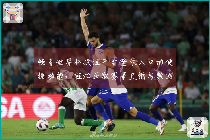 畅享世界杯投注平台登录入口的便捷功能，轻松获取赛事直播与数据分析