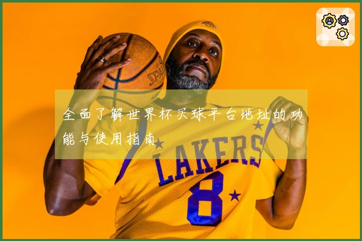 全面了解世界杯买球平台地址的功能与使用指南